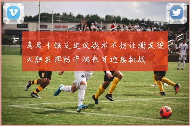 乌度卡缺乏进攻战术不妨让谢泼德大胆发挥防守端也可迎接挑战