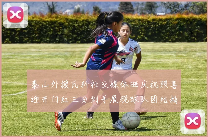 泰山外援瓦科社交媒体晒庆祝照喜迎开门红三分到手展现球队团结精神